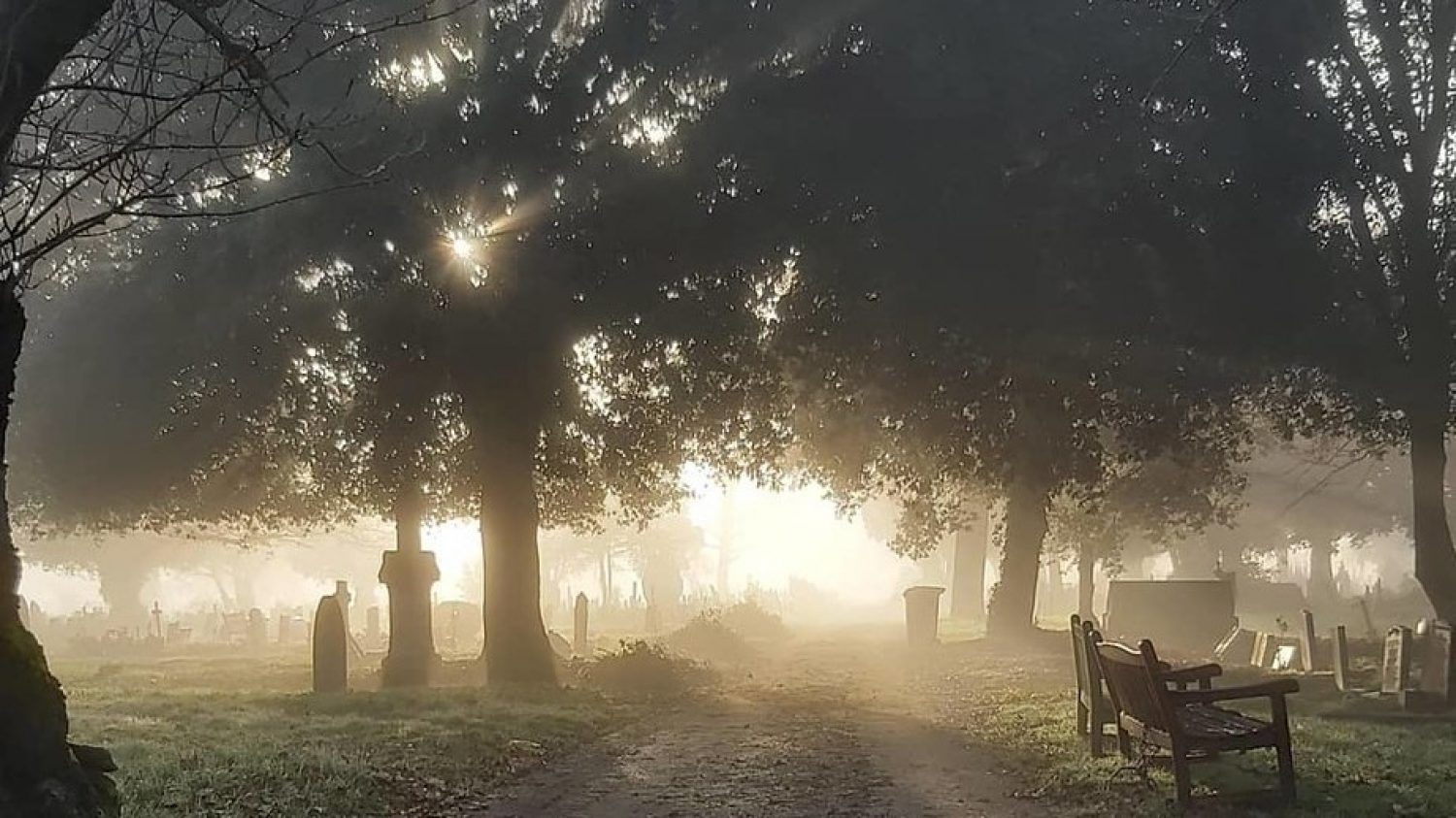 Lambeth cemetery view at sunrise in the mist