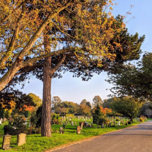 Lambeth cemetery view
