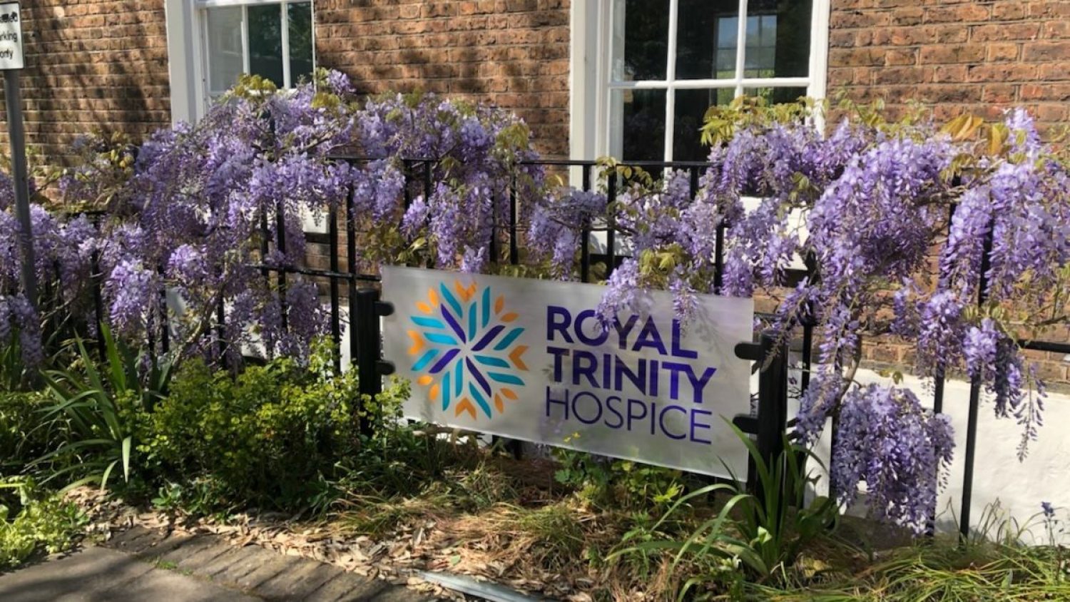 Purple flowers outside Royal Trinity Hospice, Clapham, London