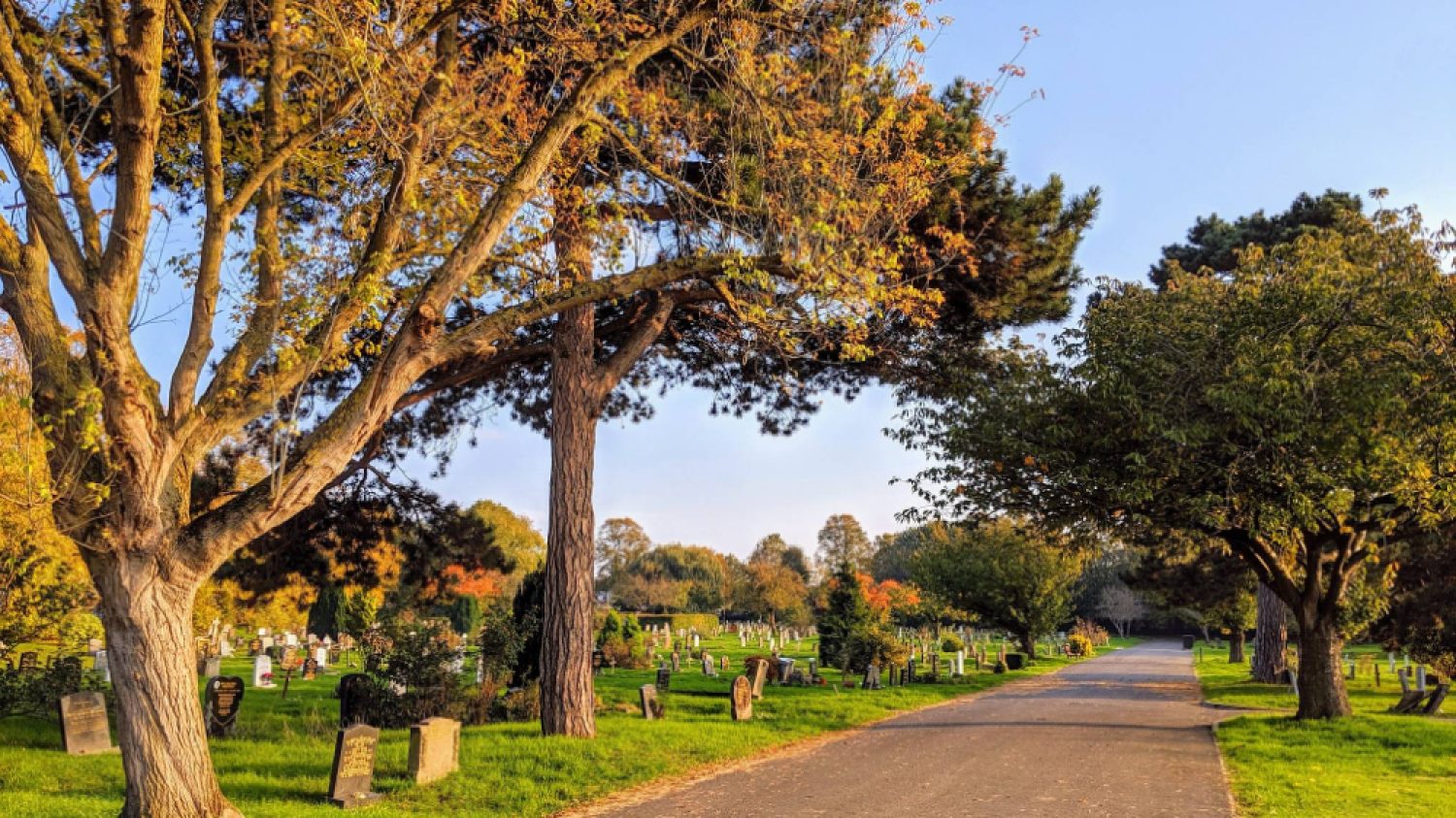 Lambeth cemetery in sunshine with trees | poppy's funerals | London funeral directors