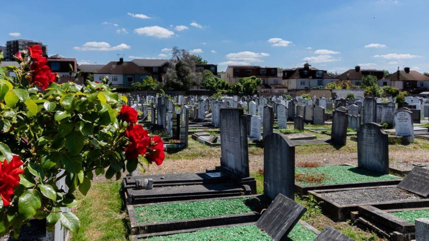 Liberal Jewish cemetery in Hoop Lane, north London