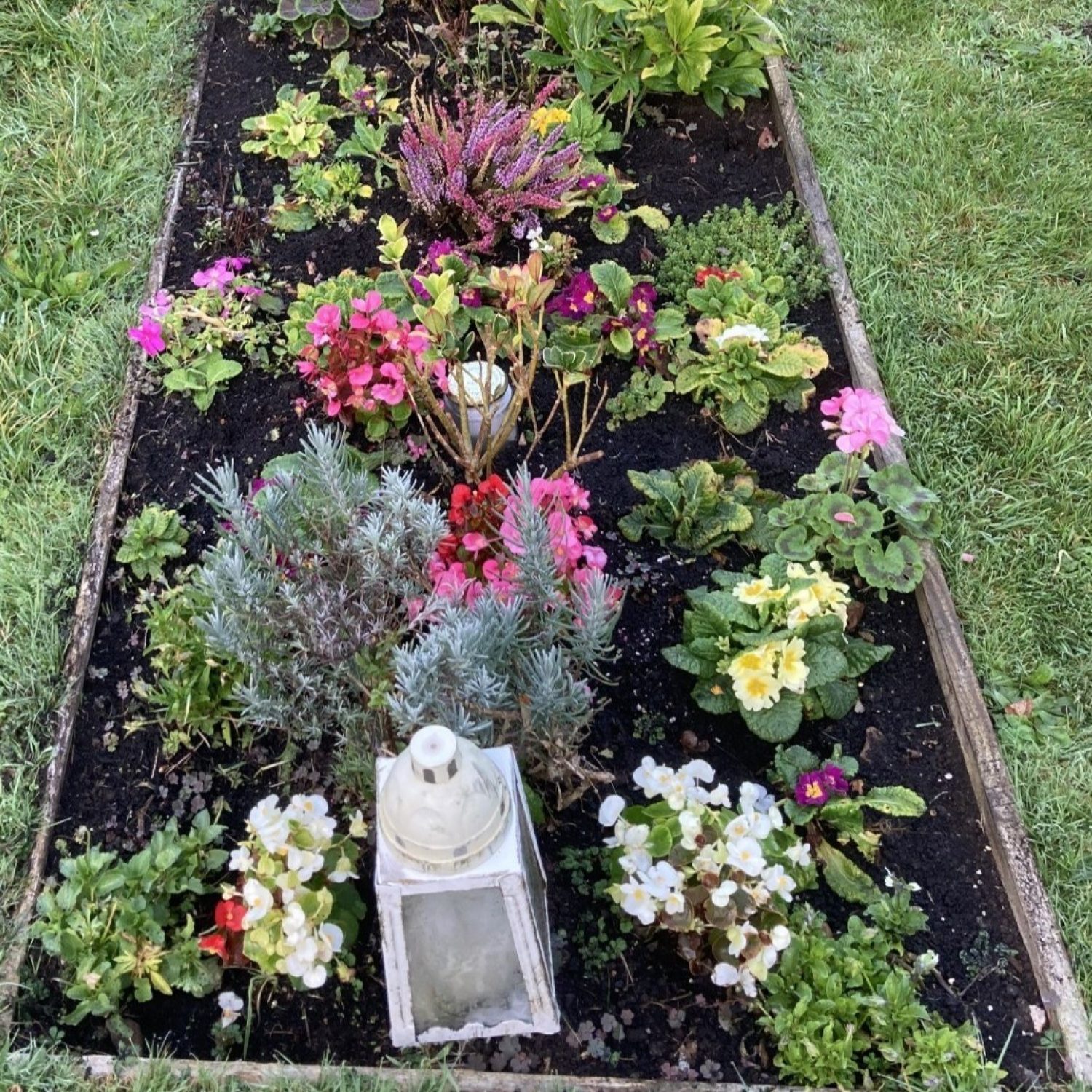 Grave garden in autumn with flowers and plants