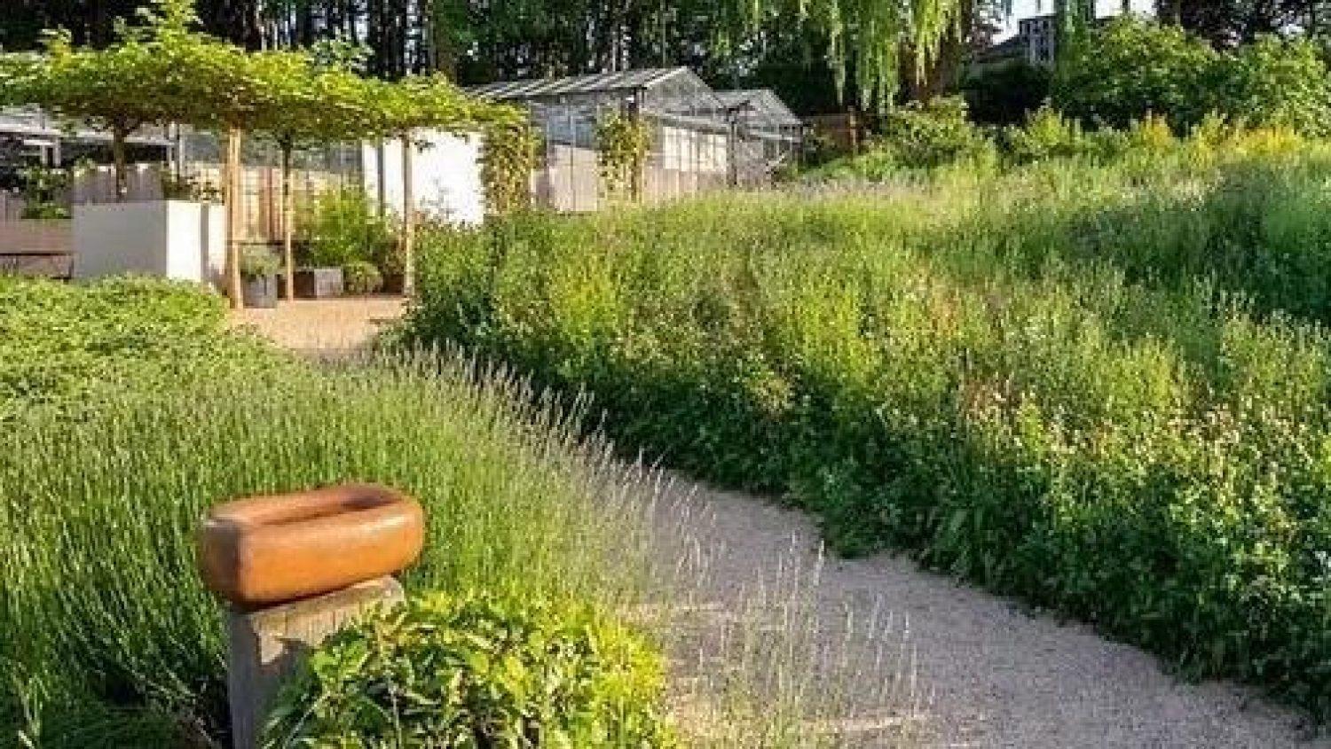 View of OmVed Gardens, north London