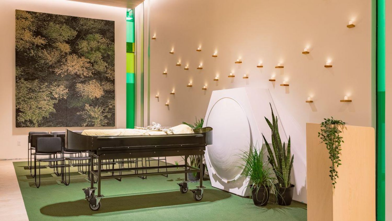 Recompose Gathering Space with Cradle, with plants, chairs and pictures of plants on the walls