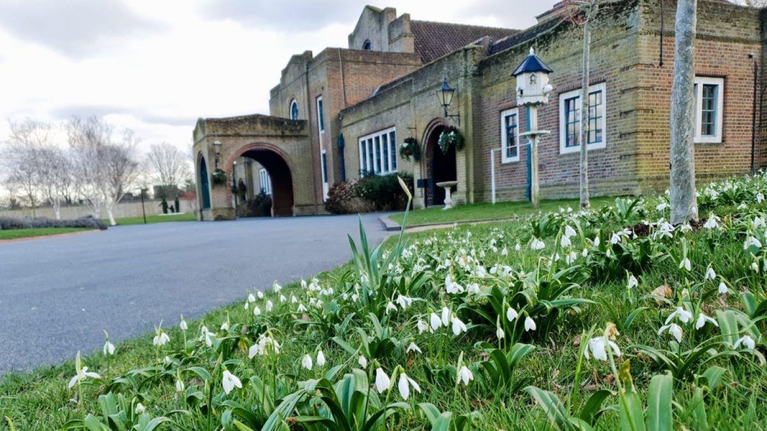 Snowdrops in front of Mortlake Crematorium