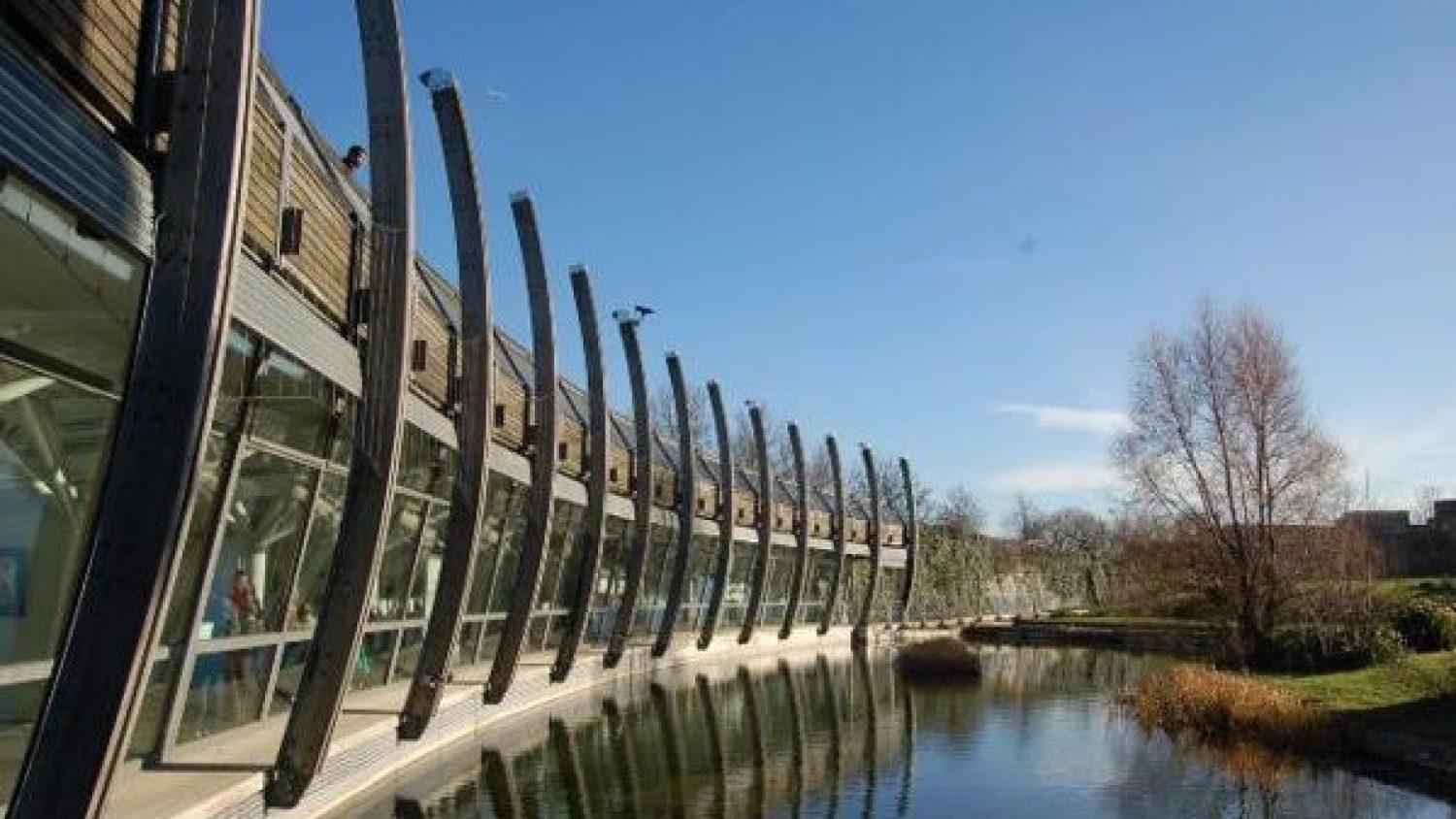 Art Pavilion, Mile End Park