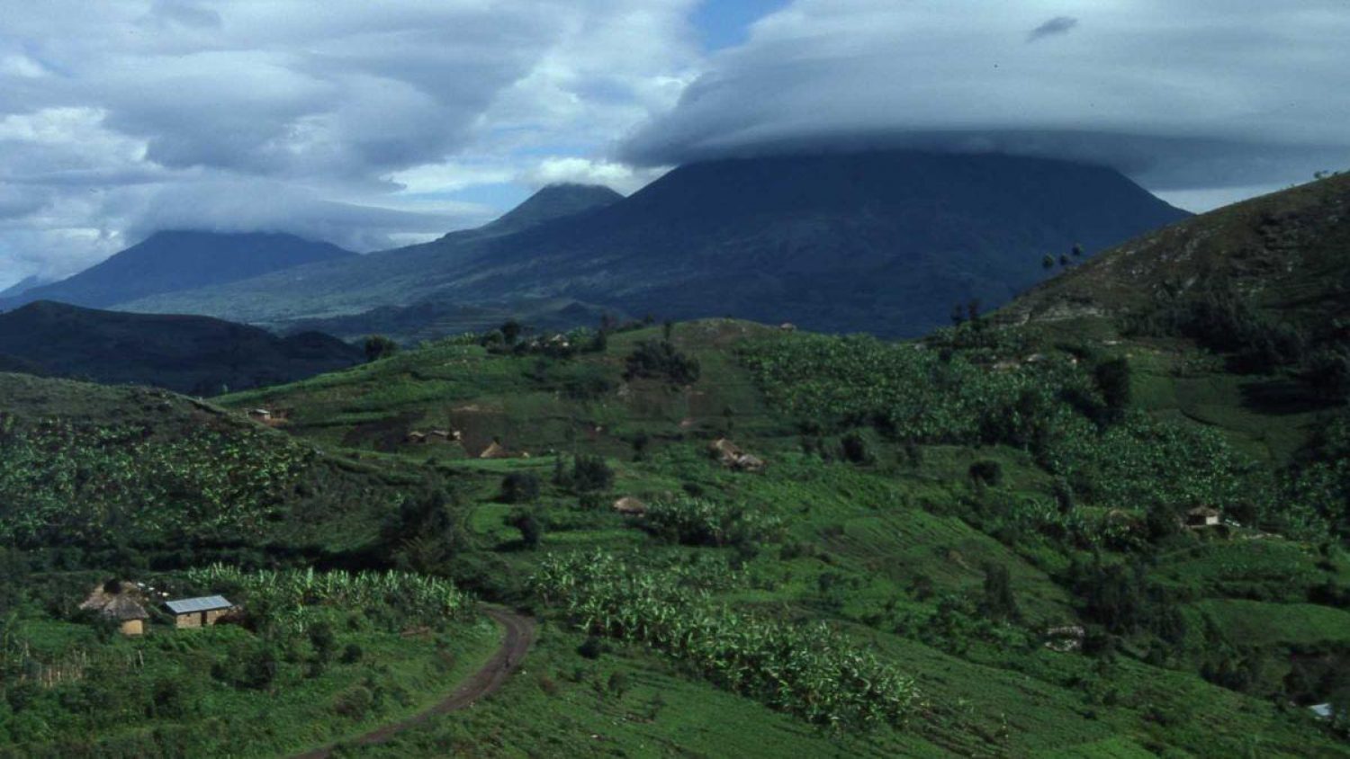 A village in Tooro Kingdom in Western Uganda, East Africa in the 1980s. Burial grounds are often located in Banana groves. Snow-capped Mt. Rwenzori in the background. Picture taken by Tim Heywood.