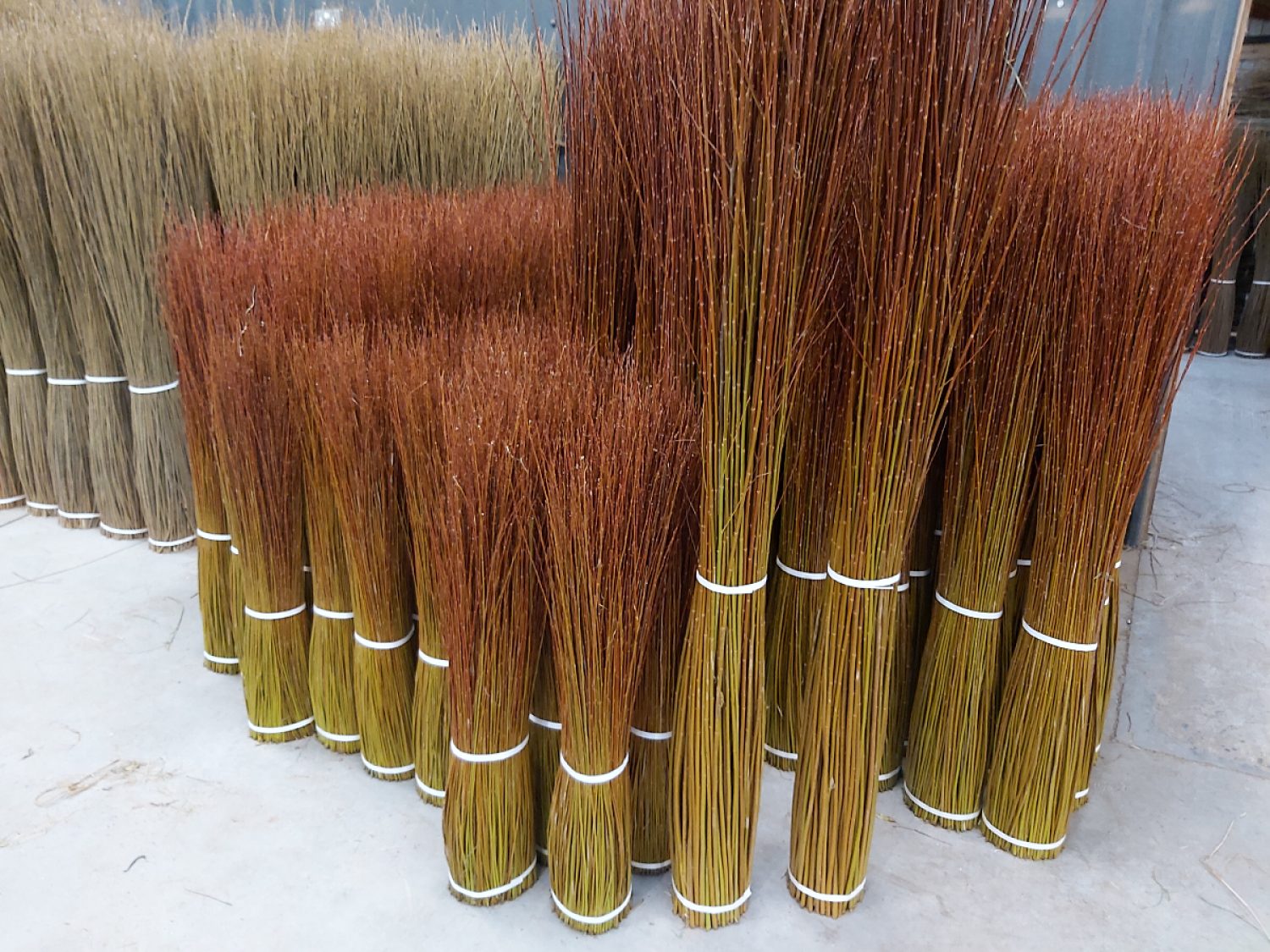 Various lengths of willow in bundles