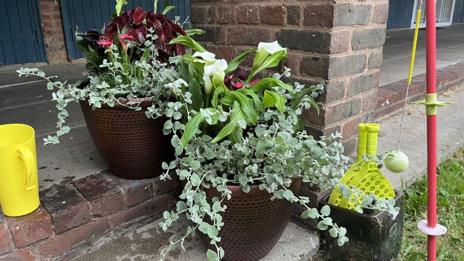 Flowers and foliage in planters outside house, watering can and swingball in background