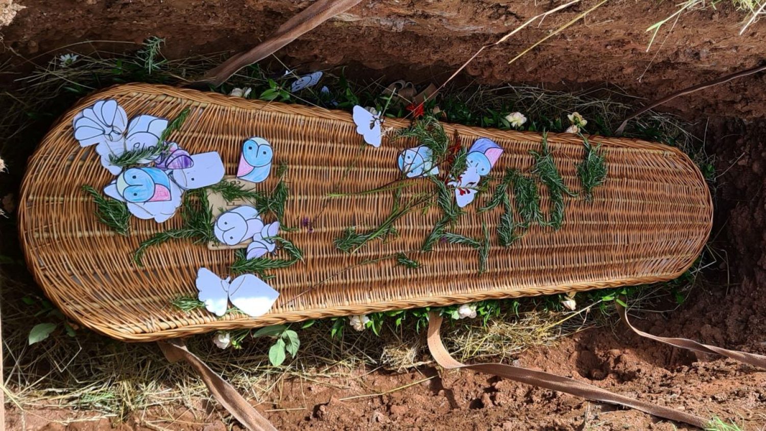 Willow coffin in grave with messages, foliage and coloured-in pictures of owls
