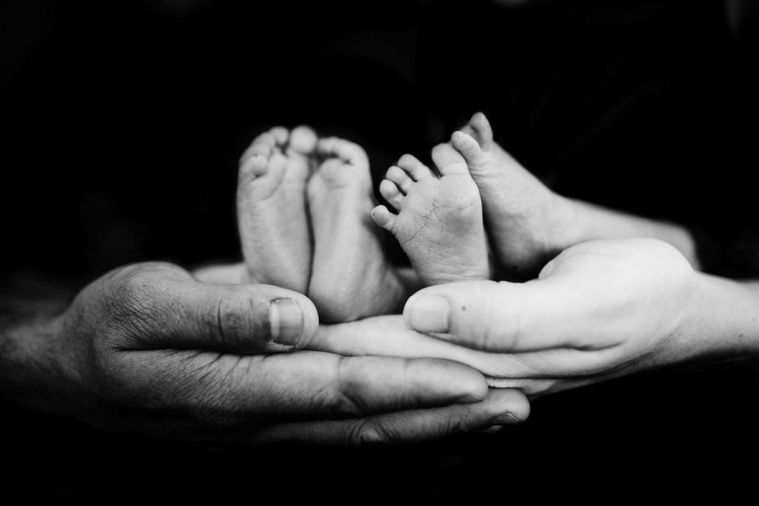Two adult hands holding two sets of baby's feet