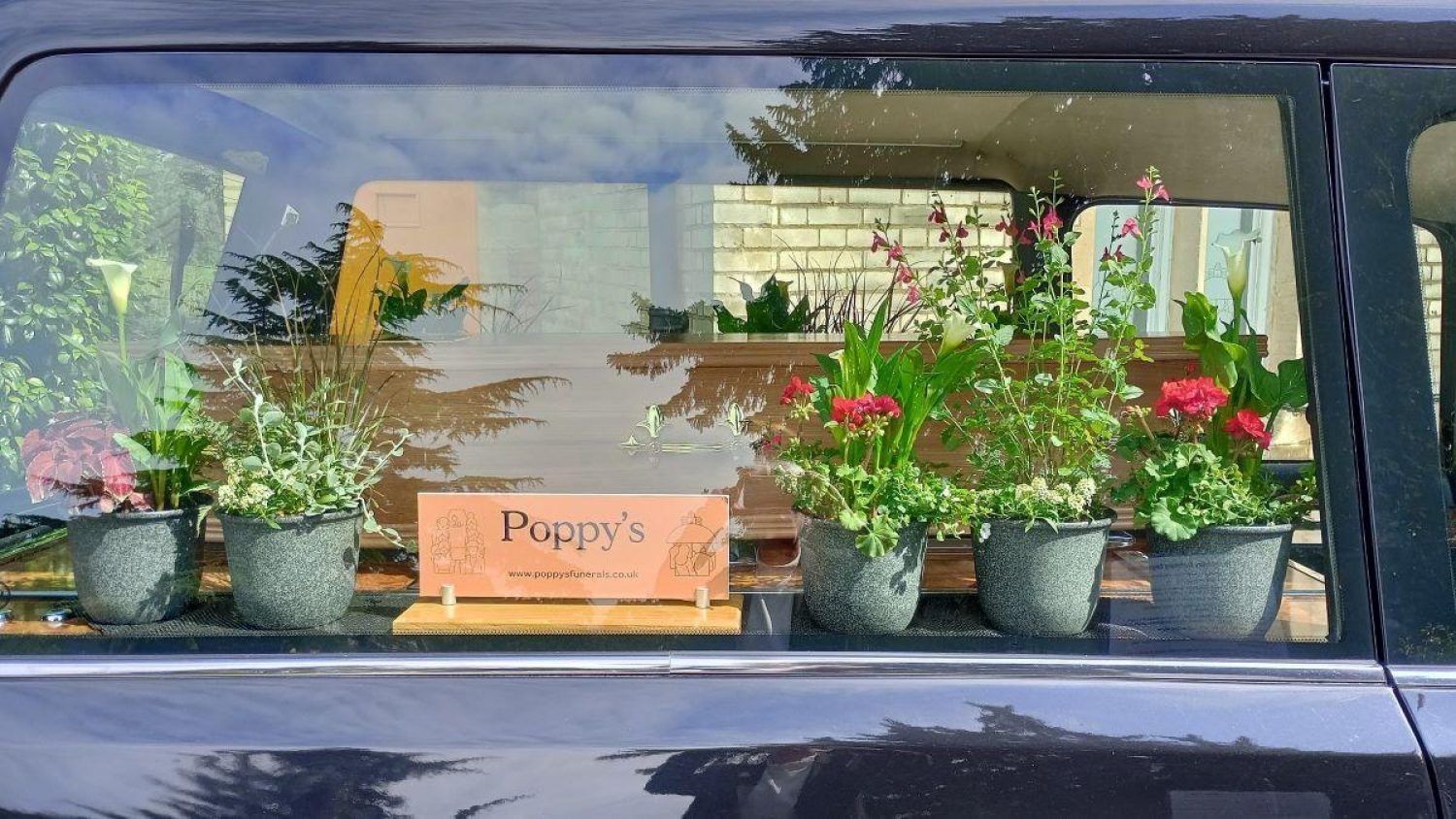 Potted plants by coffin in hearse