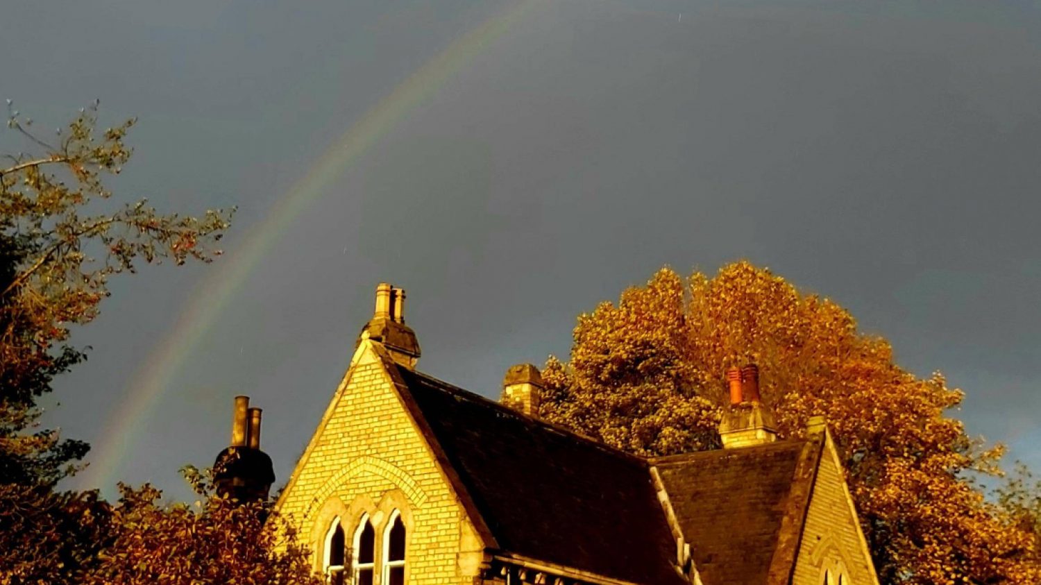 Rainbow over Poppy's HQ in Lambeth cemetery, with grey sky , roofs and trees