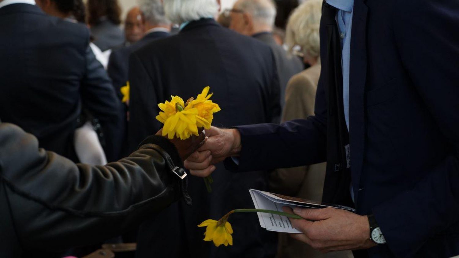 Daffodils being passed from hand to hand at a funeral service