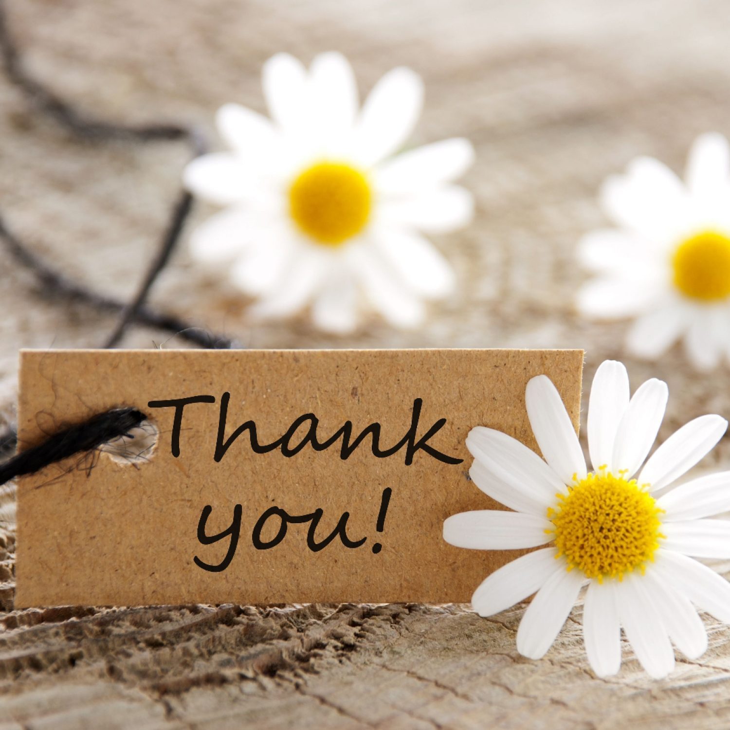 Thank you from Poppy's, London funeral directors