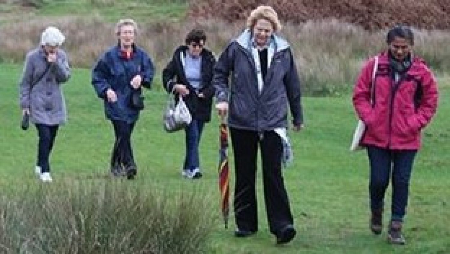 Group of five people walking in park
