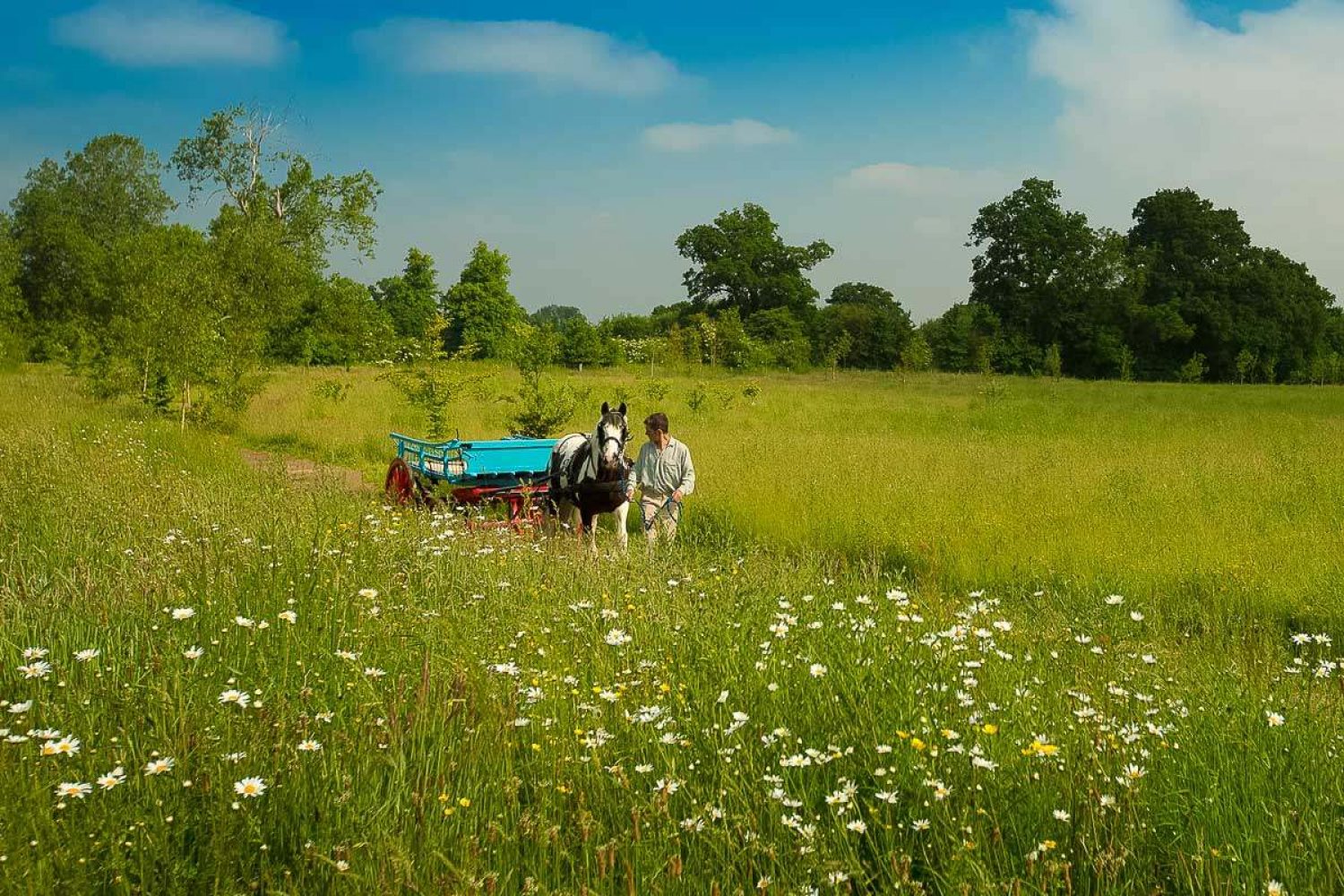natural burial grounds | eco funerals | green funerals