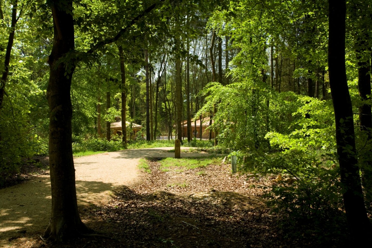 Chiltern Greenacres natural burial site