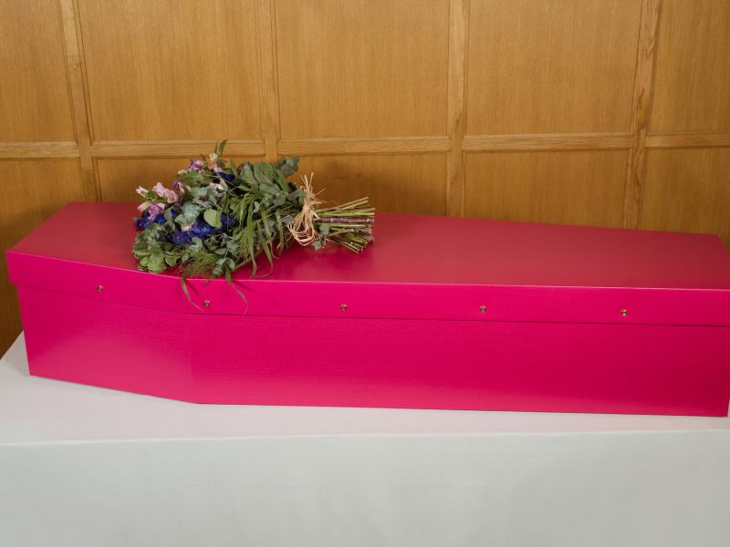 cardboard any colour