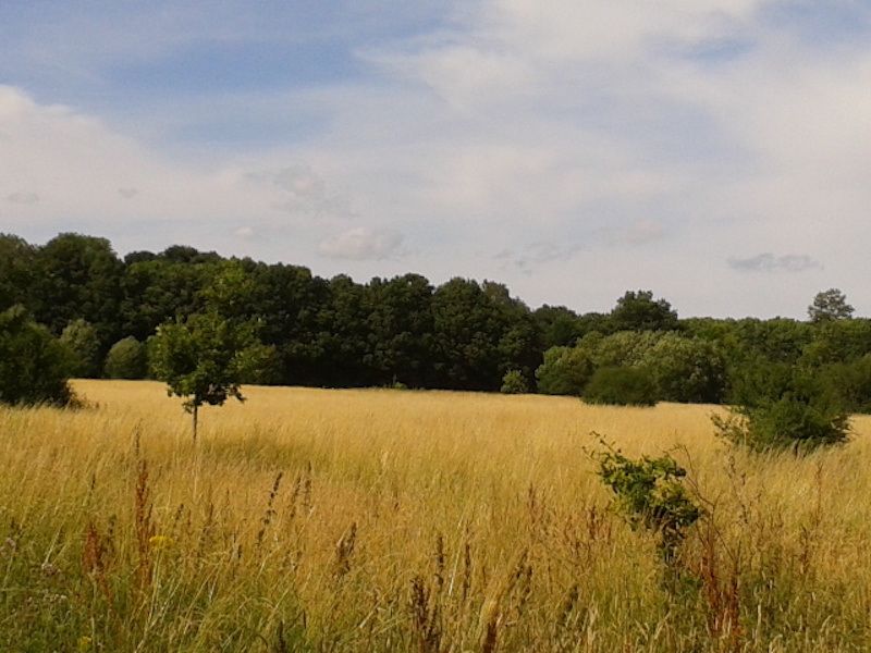 Eden Valley natural burial site