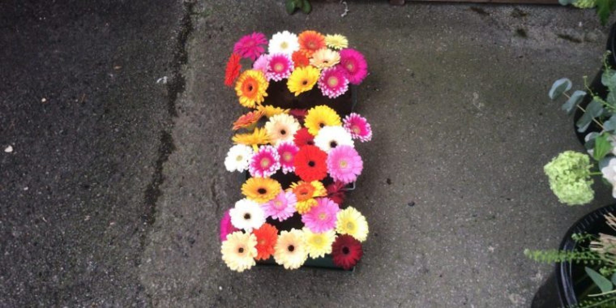 How to choose flowers for a funeral Poppy's Blog Poppy's Funerals