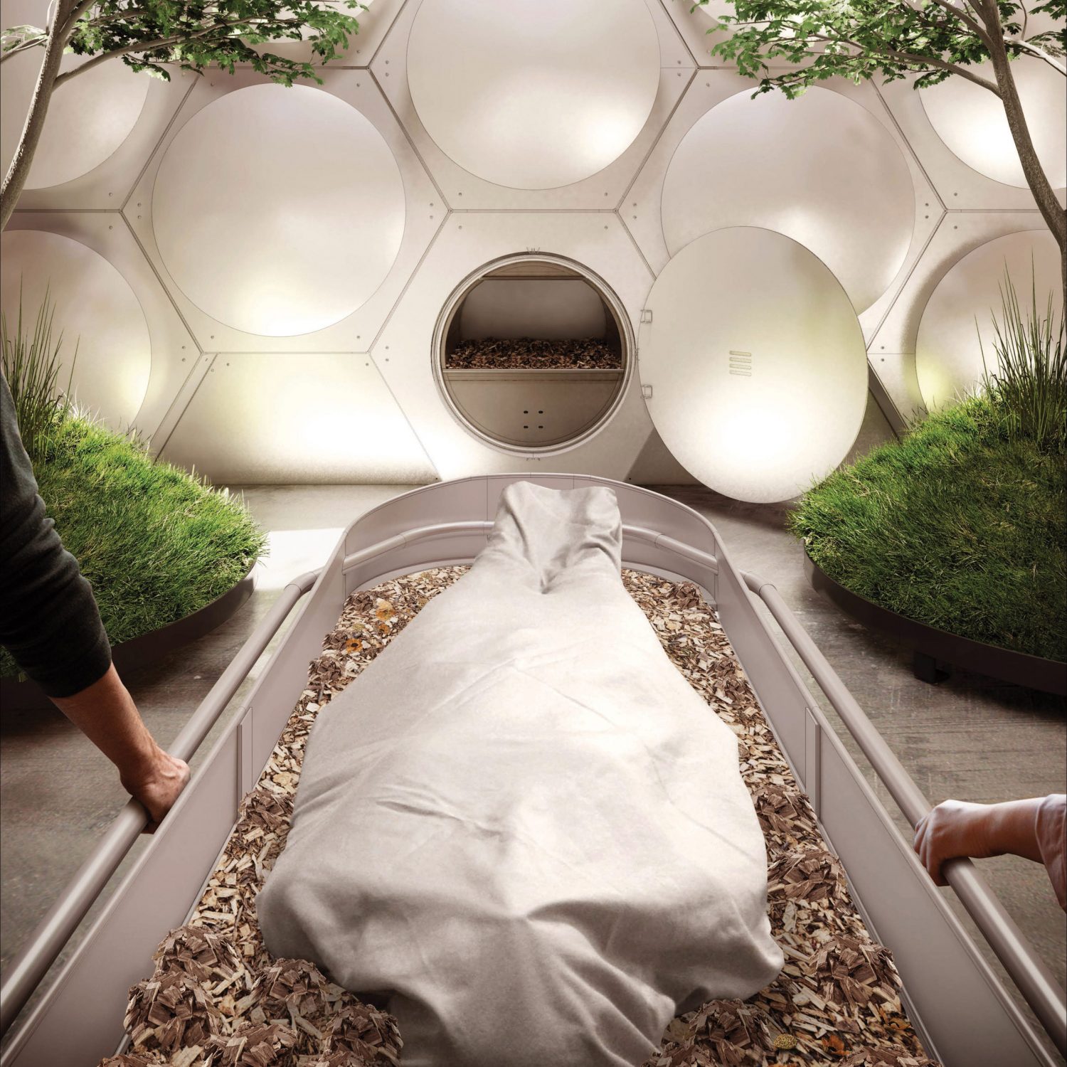 Vision of future Recompose facility.