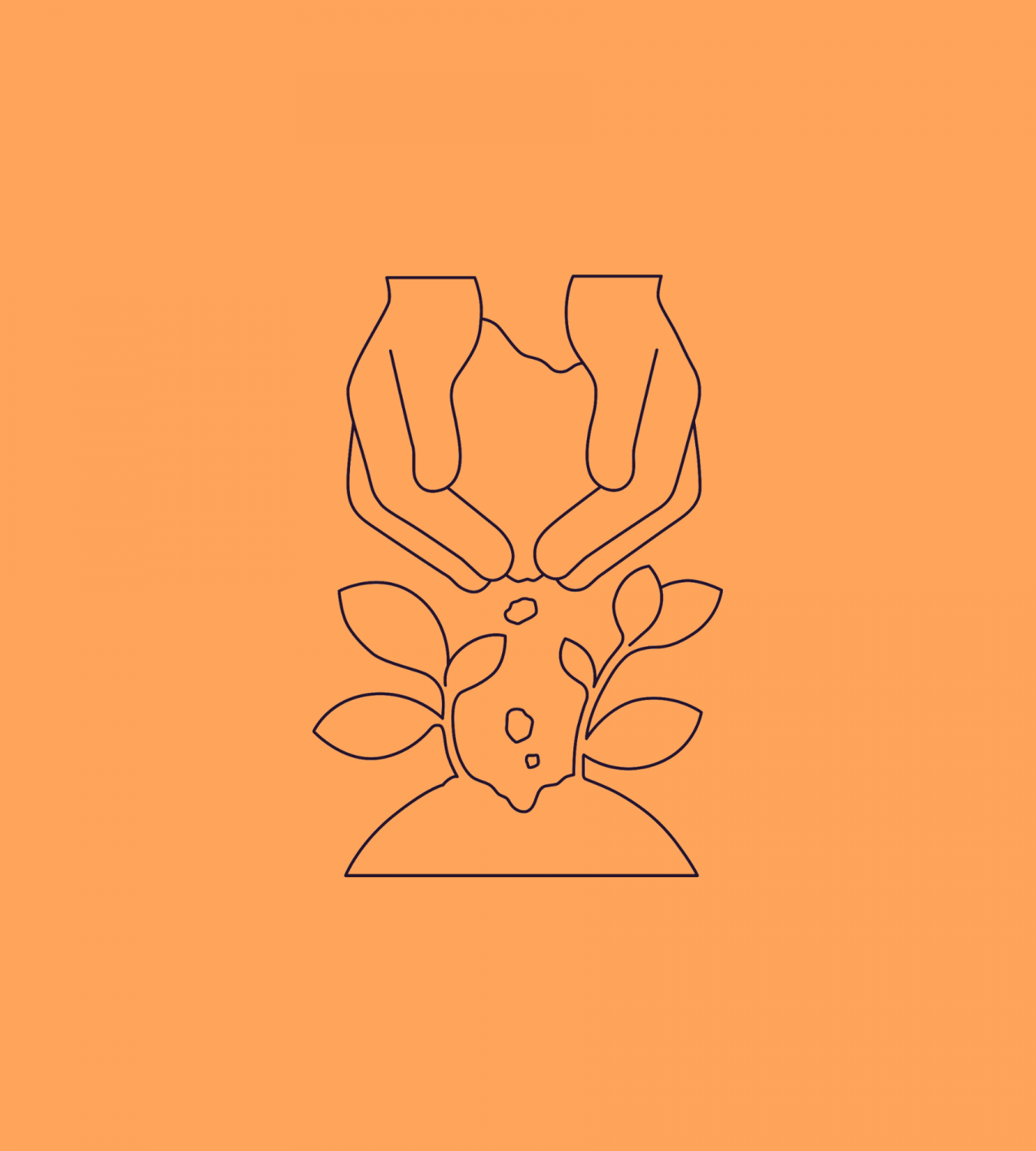 How to plan an eco friendly funeral | eco funerals | poppy's funerals