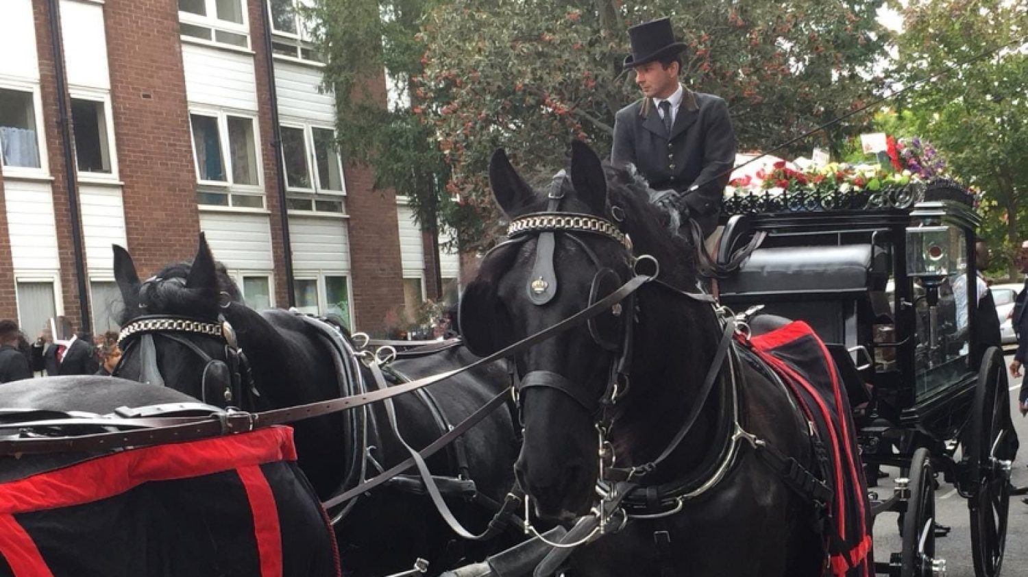 Horse-drawn hearse in London streets | Poppy's funerals | London funeral director